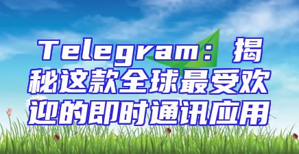 Telegram：揭秘这款全球最受欢迎的即时通讯应用