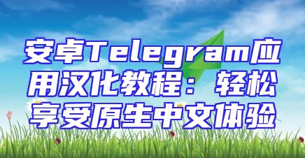 安卓Telegram应用汉化教程：轻松享受原生中文体验