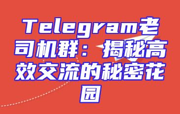 Telegram老司机群：揭秘高效交流的秘密花园