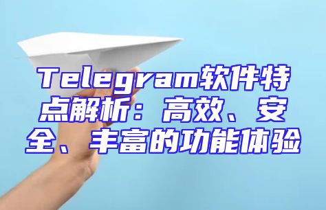 Telegram软件特点解析：高效、安全、丰富的功能体验