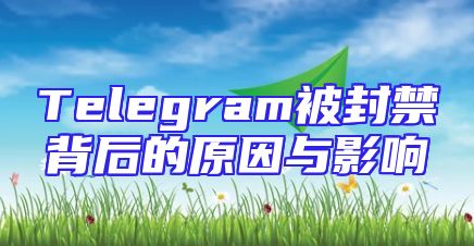 Telegram被封禁背后的原因与影响