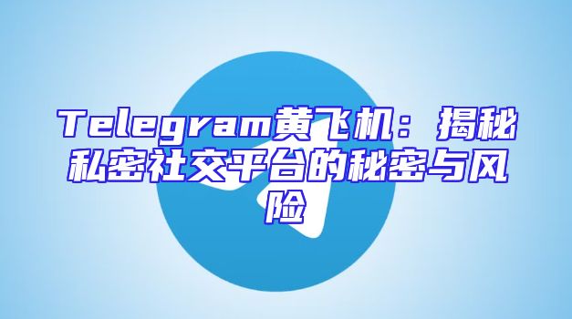Telegram黄飞机：揭秘私密社交平台的秘密与风险