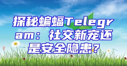 探秘蝙蝠Telegram：社交新宠还是安全隐患？