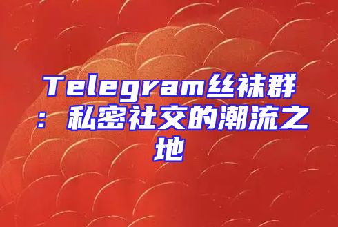 Telegram丝袜群：私密社交的潮流之地