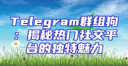 Telegram群组狗：揭秘热门社交平台的独特魅力