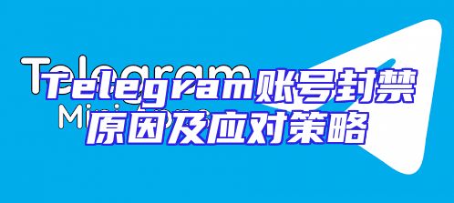 Telegram账号封禁原因及应对策略