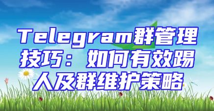 Telegram群管理技巧：如何有效踢人及群维护策略