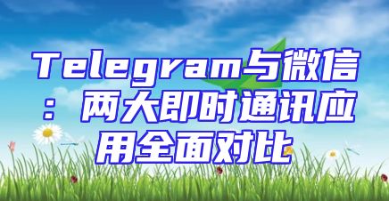 Telegram与微信：两大即时通讯应用全面对比