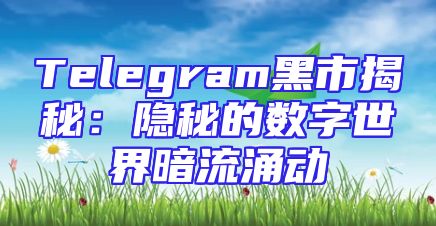 Telegram黑市揭秘：隐秘的数字世界暗流涌动