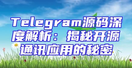 Telegram源码深度解析：揭秘开源通讯应用的秘密