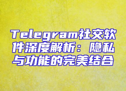 Telegram社交软件深度解析：隐私与功能的完美结合
