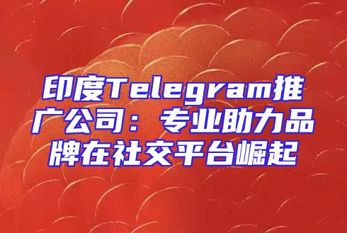 印度Telegram推广公司：专业助力品牌在社交平台崛起