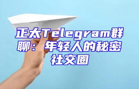 正太Telegram群聊：年轻人的秘密社交圈