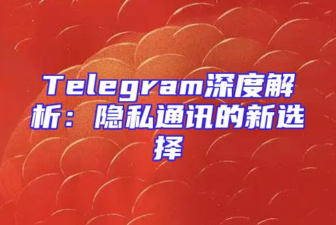 Telegram深度解析：隐私通讯的新选择