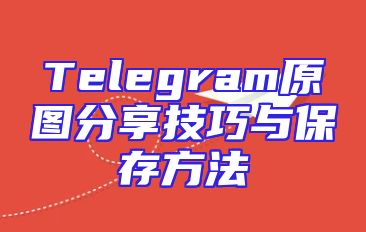 Telegram原图分享技巧与保存方法
