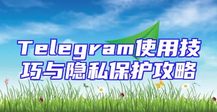 Telegram使用技巧与隐私保护攻略