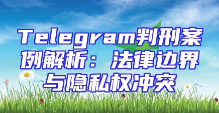 Telegram判刑案例解析：法律边界与隐私权冲突