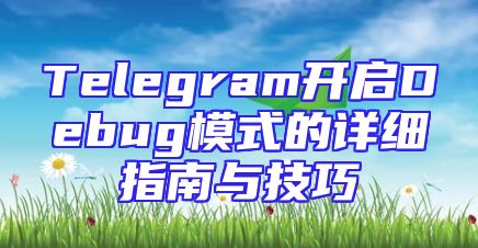 Telegram开启Debug模式的详细指南与技巧