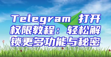 Telegram 打开权限教程：轻松解锁更多功能与秘密