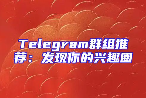 Telegram群组推荐：发现你的兴趣圈