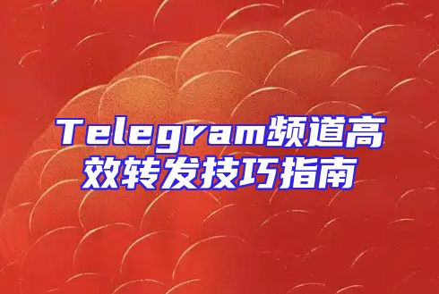 Telegram频道高效转发技巧指南