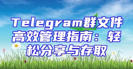 Telegram群文件高效管理指南：轻松分享与存取