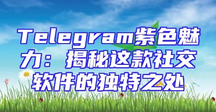 Telegram紫色魅力：揭秘这款社交软件的独特之处