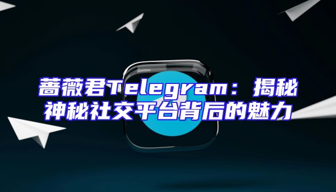 蔷薇君Telegram：揭秘神秘社交平台背后的魅力