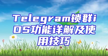 Telegram锁群iOS功能详解及使用技巧