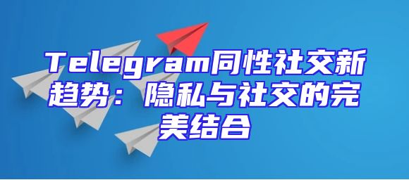 Telegram同性社交新趋势：隐私与社交的完美结合