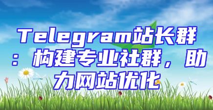 Telegram站长群：构建专业社群，助力网站优化