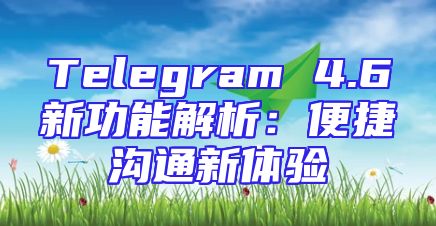 Telegram 4.6新功能解析：便捷沟通新体验