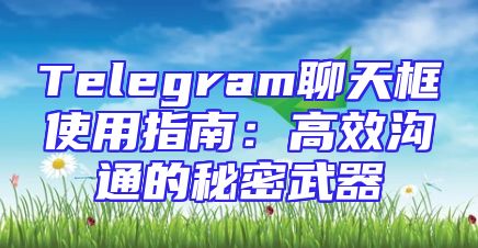 Telegram聊天框使用指南：高效沟通的秘密武器