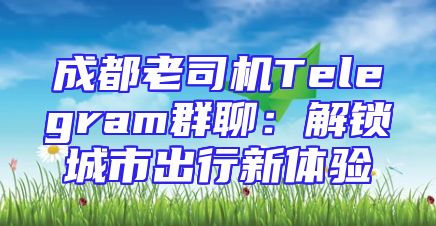 成都老司机Telegram群聊：解锁城市出行新体验