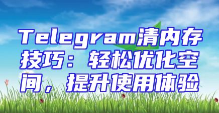 Telegram清内存技巧：轻松优化空间，提升使用体验