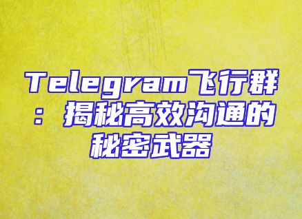 Telegram飞行群：揭秘高效沟通的秘密武器