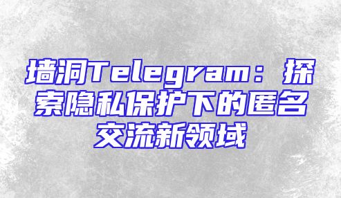 墙洞Telegram：探索隐私保护下的匿名交流新领域