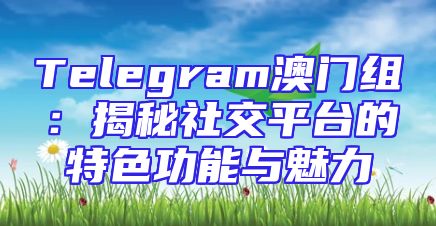Telegram澳门组：揭秘社交平台的特色功能与魅力