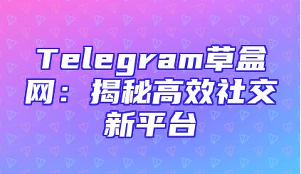 Telegram草盒网：揭秘高效社交新平台