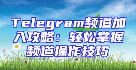 Telegram频道加入攻略：轻松掌握频道操作技巧