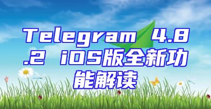 Telegram 4.8.2 iOS版全新功能解读