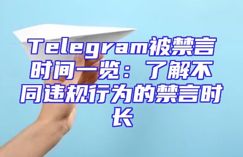 Telegram被禁言时间一览：了解不同违规行为的禁言时长