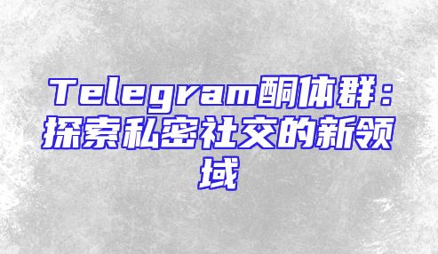 Telegram酮体群：探索私密社交的新领域