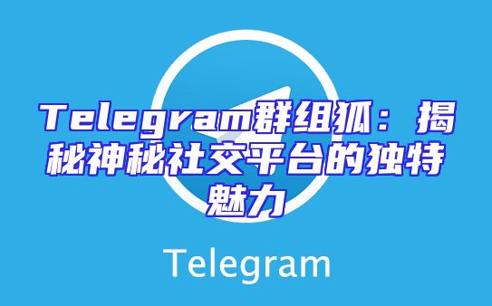 Telegram群组狐：揭秘神秘社交平台的独特魅力