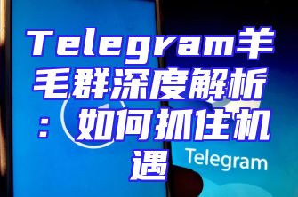Telegram羊毛群深度解析：如何抓住机遇