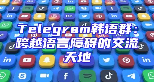 Telegram韩语群：跨越语言障碍的交流天地
