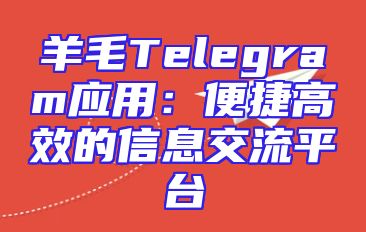 羊毛Telegram应用：便捷高效的信息交流平台