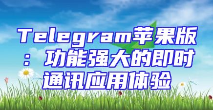 Telegram苹果版：功能强大的即时通讯应用体验