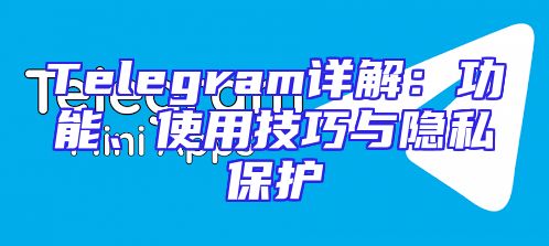 Telegram详解：功能、使用技巧与隐私保护