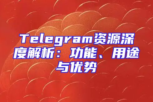 Telegram资源深度解析：功能、用途与优势